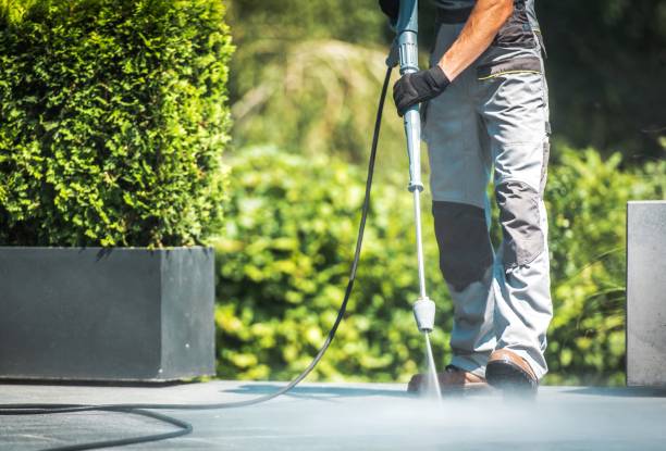 Trusted Alexandria, VA Pressure Washing Experts